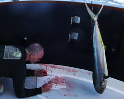 matthew barney: prayer sheet with the wound and the nail