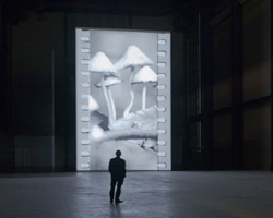 tacita dean: film at the tate modern