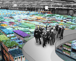 OMA: proposal for city of holland central   floriade 2022