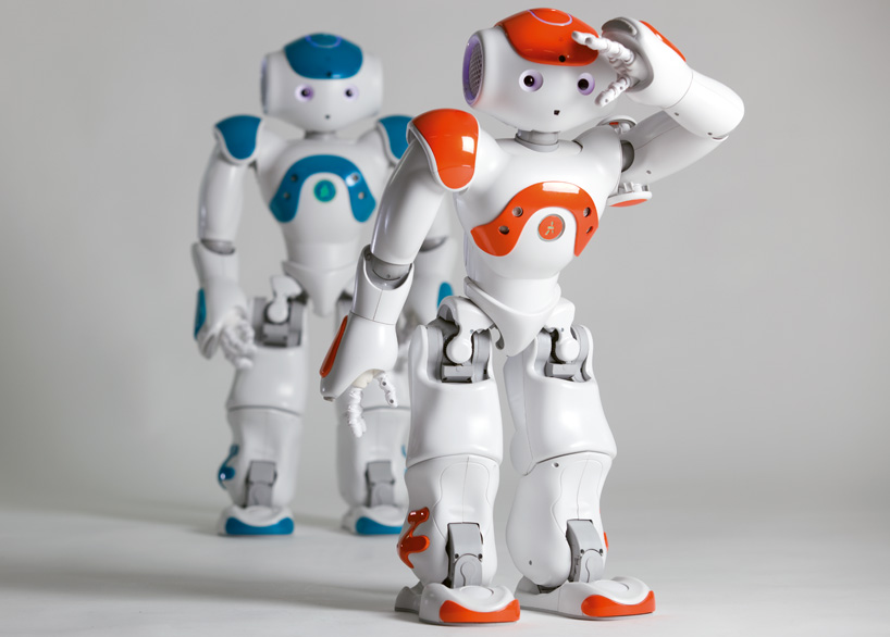 nao programmable humanoid robot