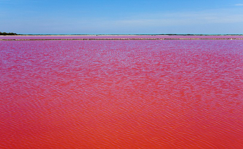 lake in camargue, france, turns blood red