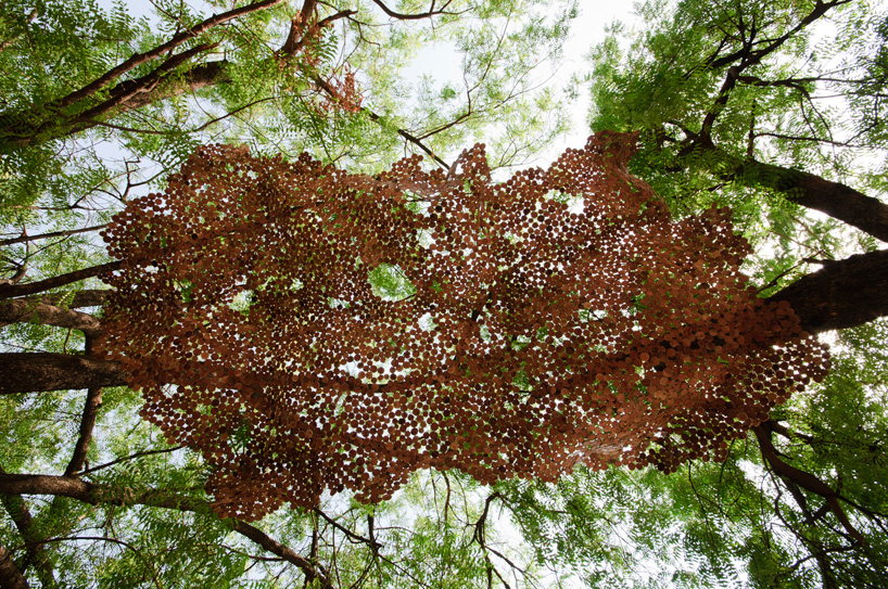 wooden foliage by andblack studio + rooshadSHROFF