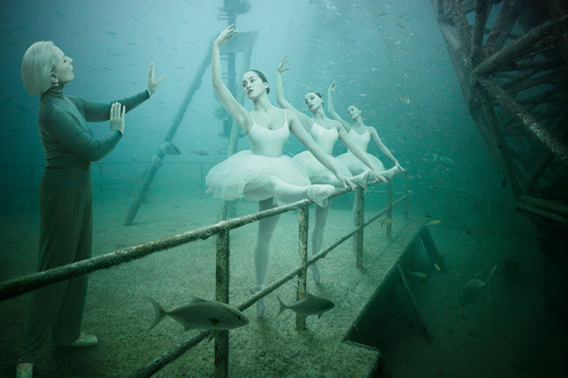 andreas franke   underwater photography exhibition