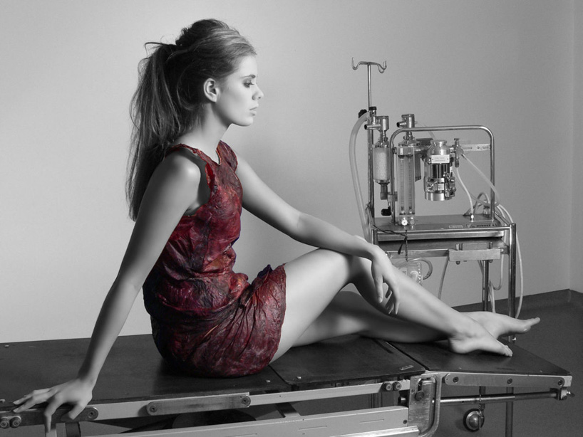 fermented fashion   red wine dress made without a single stitch