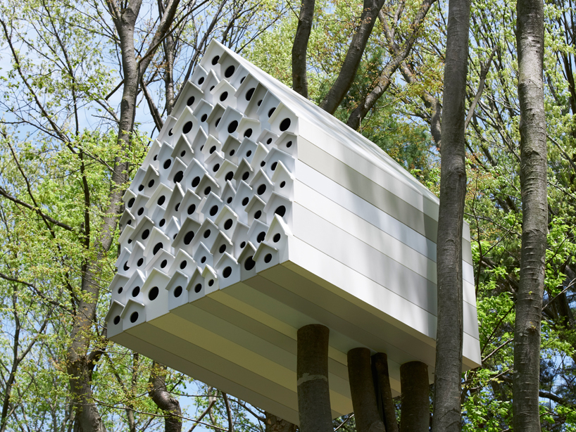 tree house bird apartment by nendo