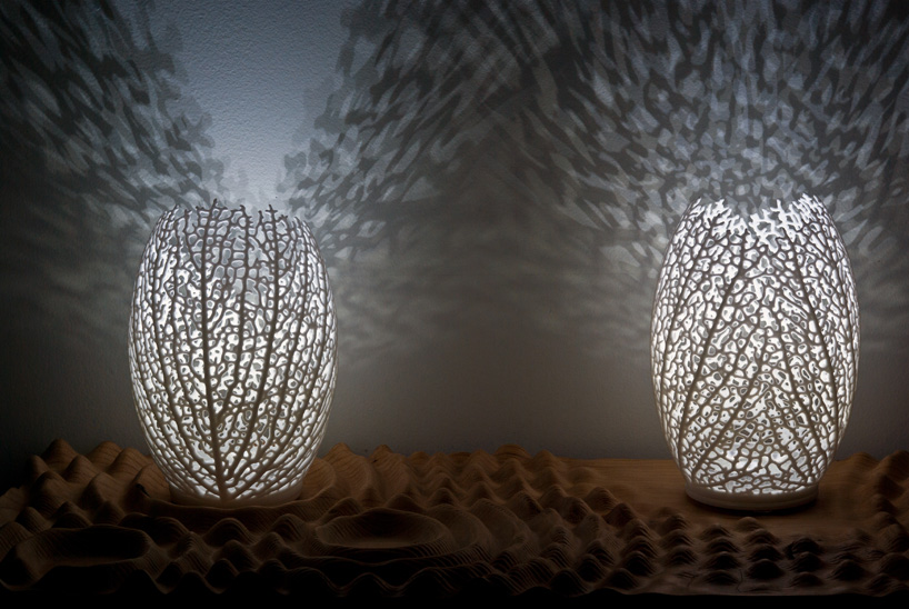 nervous system: hyphae lamp