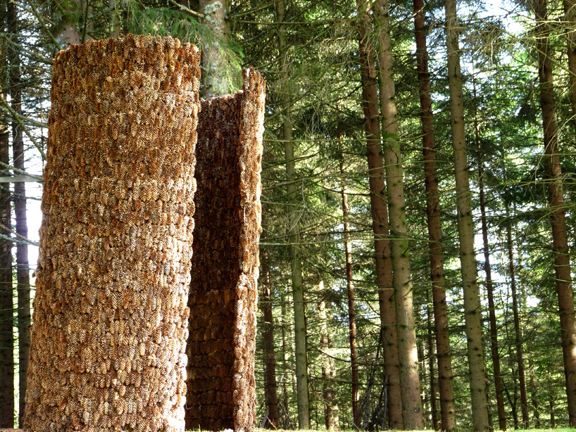 x studio: inner forest pine cone landscape pavilion