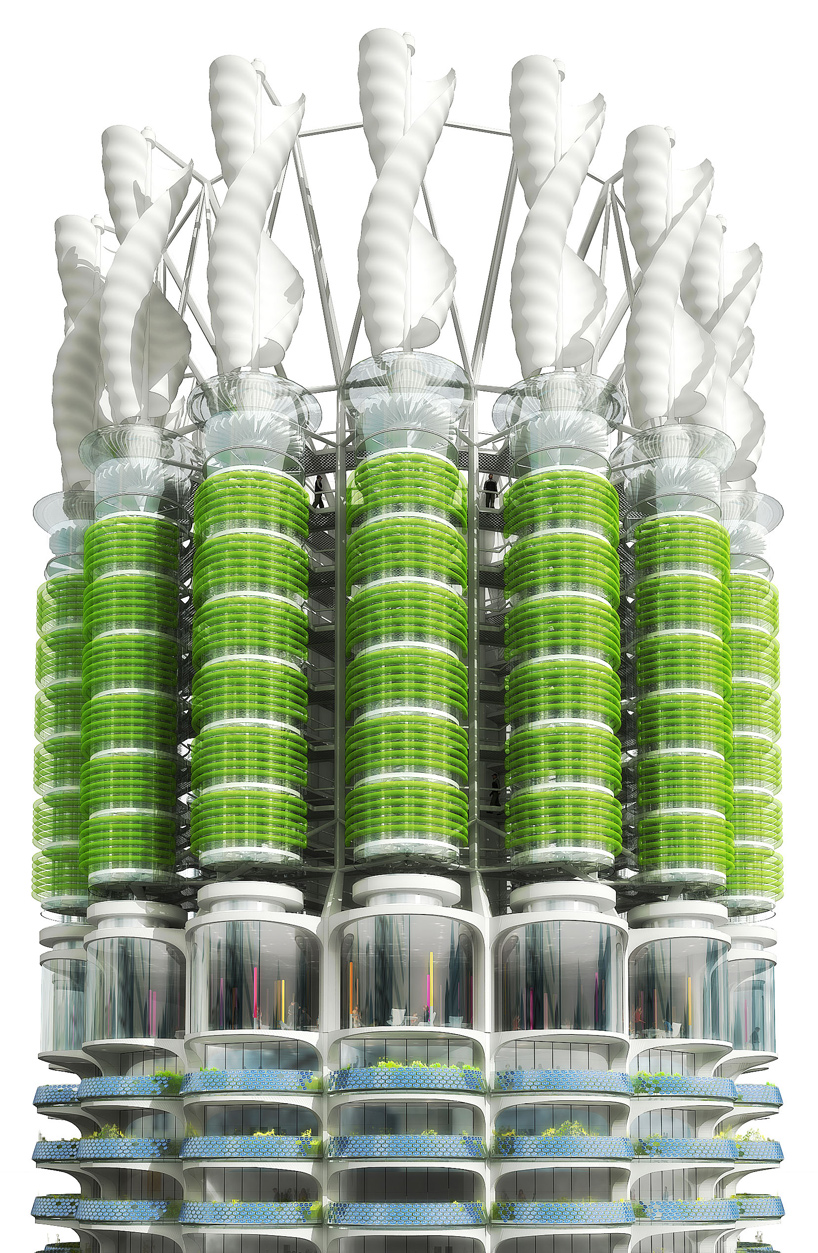 influx studio algae green loop influx studio algae green loop