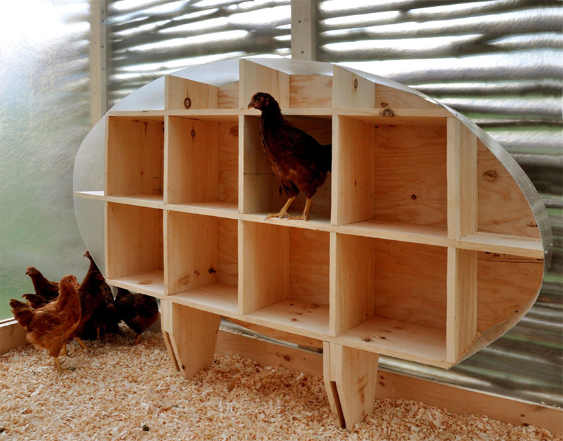 Tanzania: Fighting poverty in their own backyard | Oxfam ... studio north moskow linn architects: chicken chapel