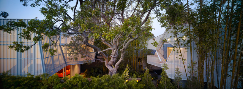 daly genik architects: palms house