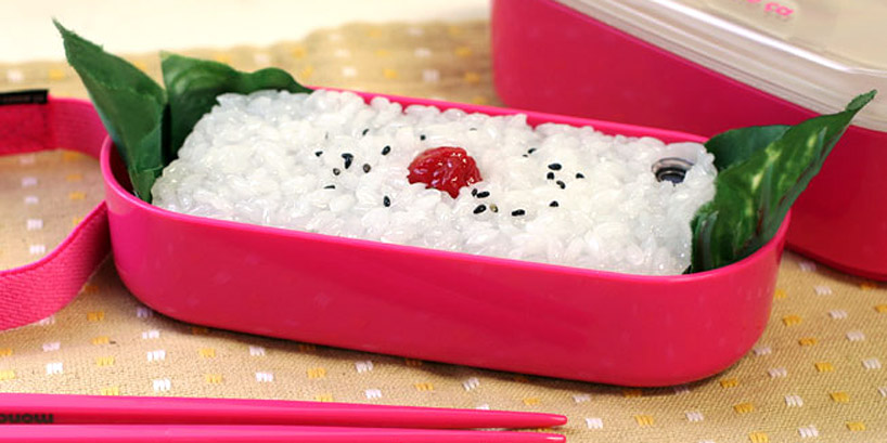 Sushi iPhone Sleeves : bento box japanese cuisine gadget case