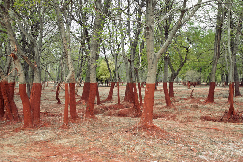 photographs capture town stained red by hungary's 2010 toxic waste spill