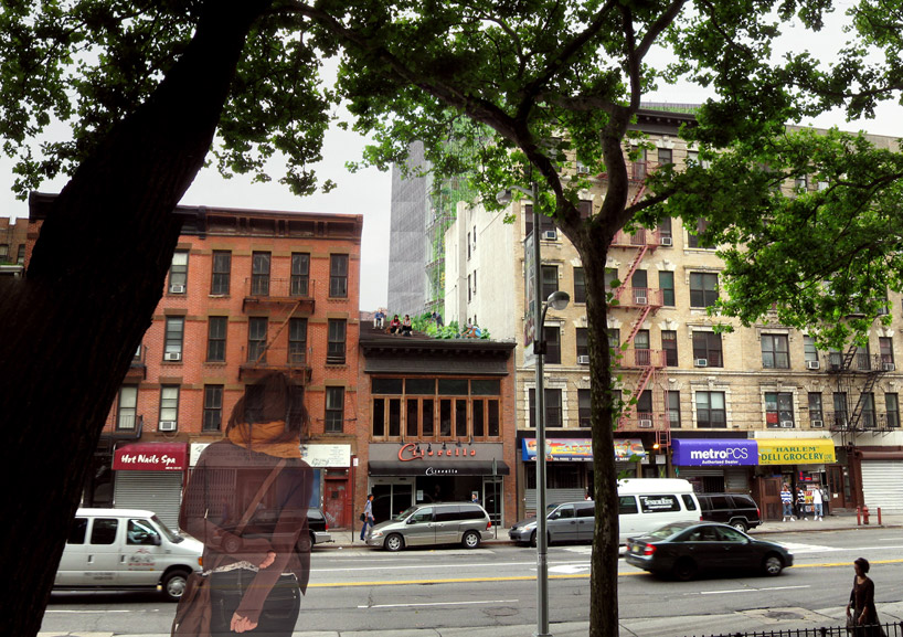 elmslie osler architect: harlem community rooftop farm