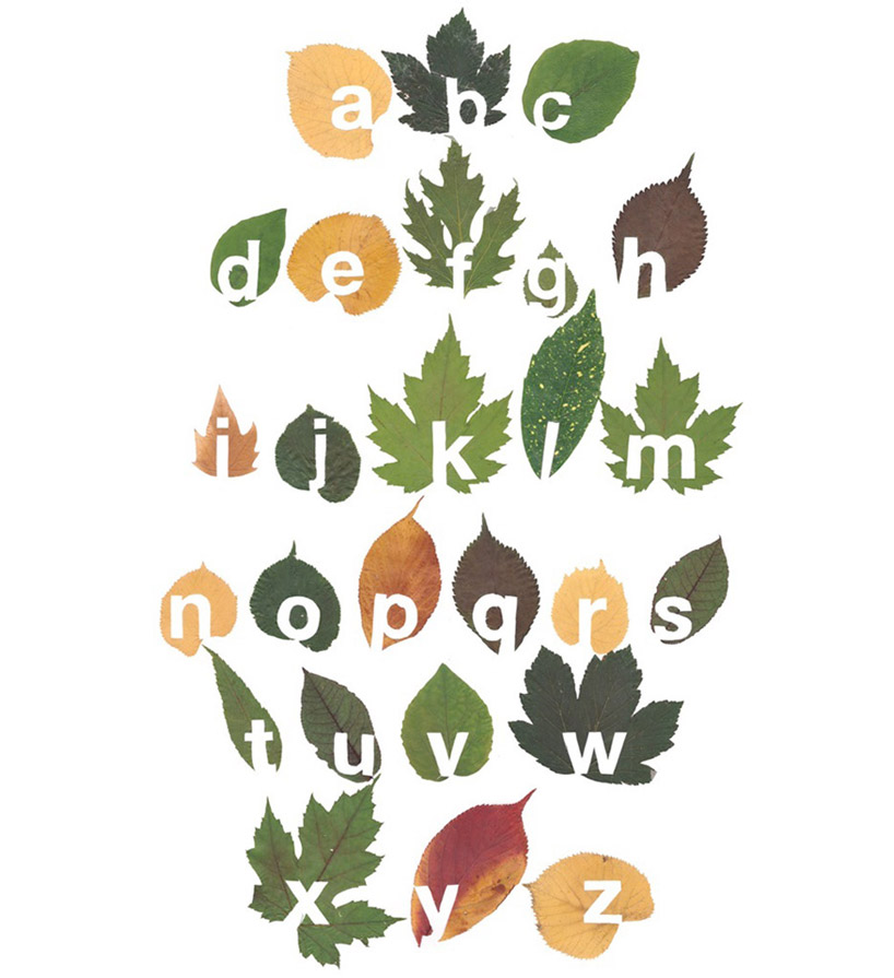 cut out leaf typography by twan van keulen