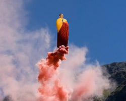 new works by li wei