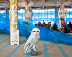 lodz design festival 2011   exhibition design