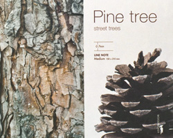 woodpecker note with bark texture by tale at designboom shop