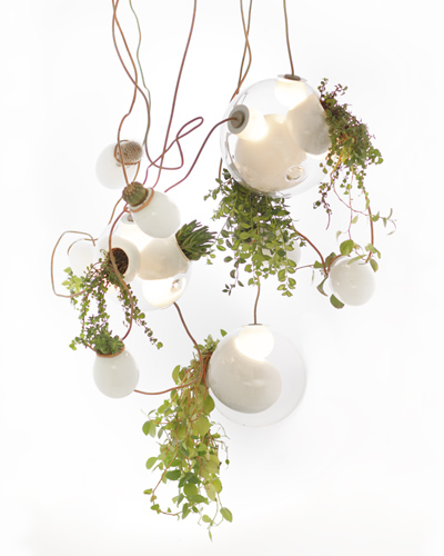 omer arbel: planter chandelier