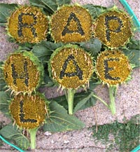 countryside alphabets