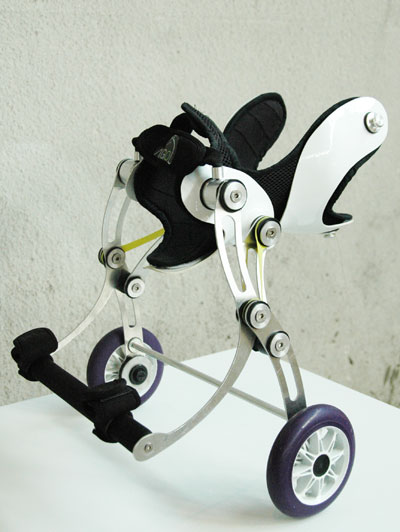 nir shalom: amigo dog wheelchair