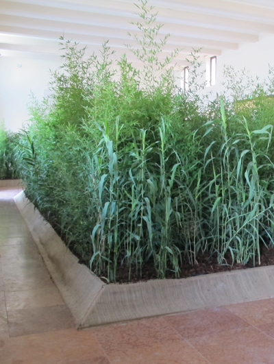 angola pavilion premiers at the venice architecture biennale