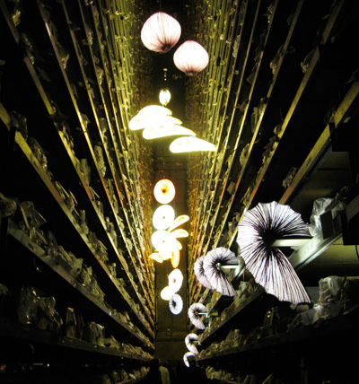 swiss designers' saturday 08: aqua creations