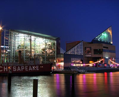 designboom contemporary: aquariums