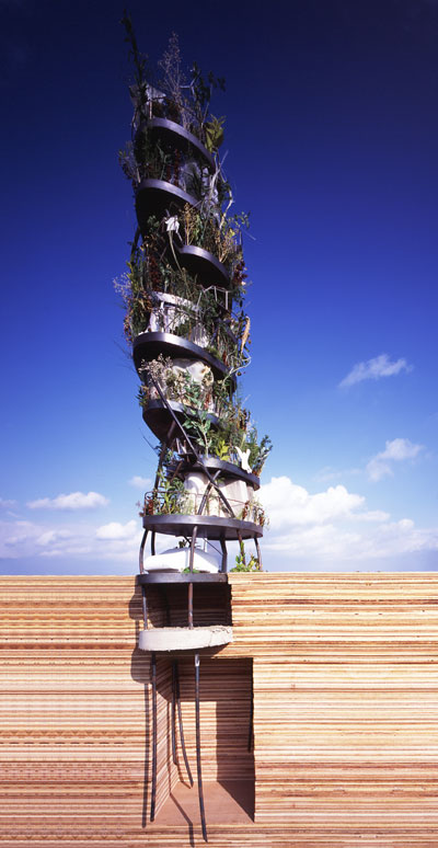 ryuichi ashizawa architects: house 01