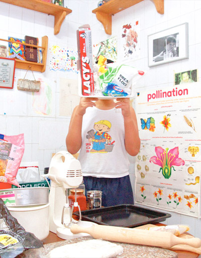 zinkie aw: republic of pulau semakau