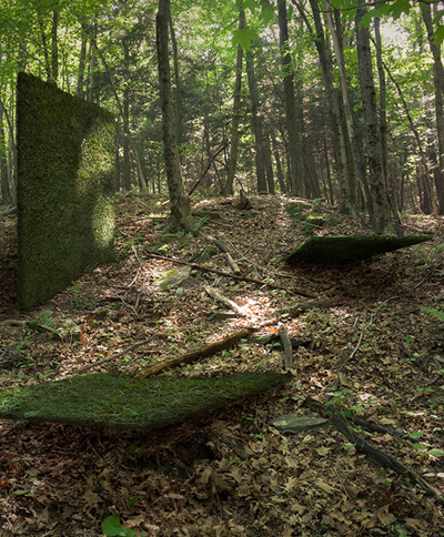 mark dorf: axiom + simulation