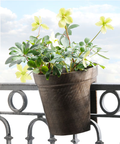 az & mut: eco urban gardening with cavalier, teddy and pli pots