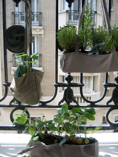 az & mut: hanging gardens + tutrix