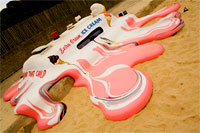 sculpture by the sea