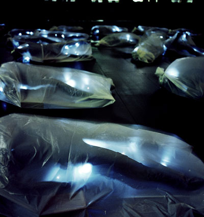 luzinterruptus: beings packaged in light