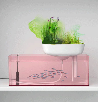 benjamin graindorge: floating garden fish tank