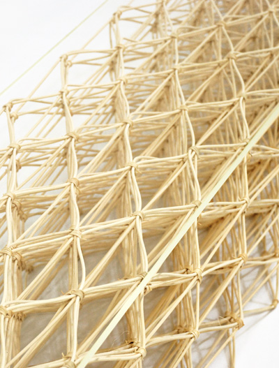 bent reed by taylor mckenzie veal