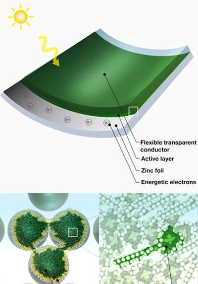 bio solar power from grass clippings