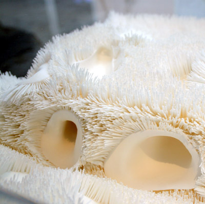 venice architecture biennale 08: R&SIE(n) + DS