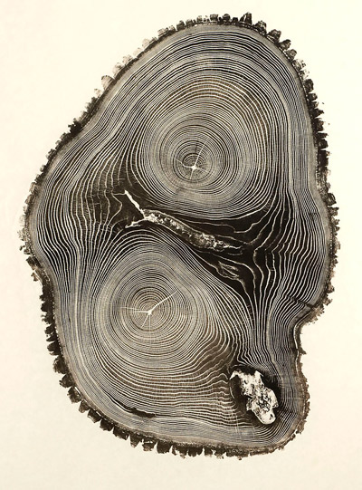 woodcut prints by bryan nash gill