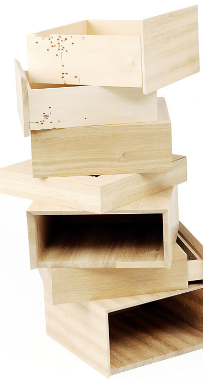 jingfeng fang: bug story