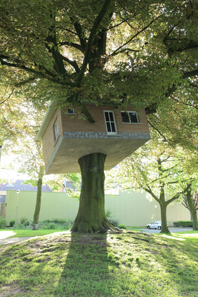 senior center turned treehouse by benjamin verdonck