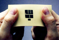 poul nielsen fitness