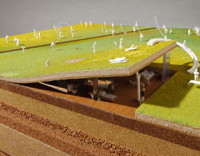 hiroshi nakamura and NAP architects : 'green carpet' house