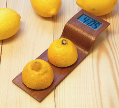 saint etienne biennale 08: 'citrus clock' by anna gram' at 'city eco lab'