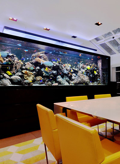 aquarium architecture: london townhouse bespoke aquarium