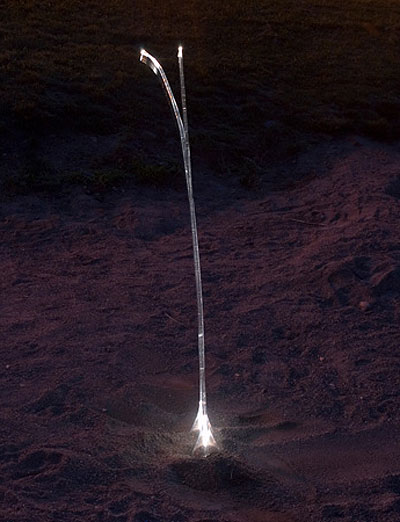 stefano merlo: 'blade of grass'