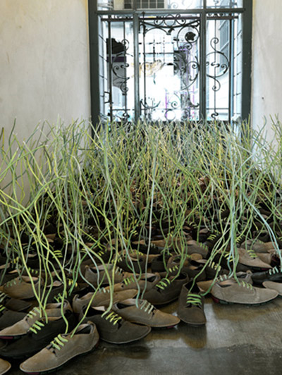 dominic wilcox field of green laces