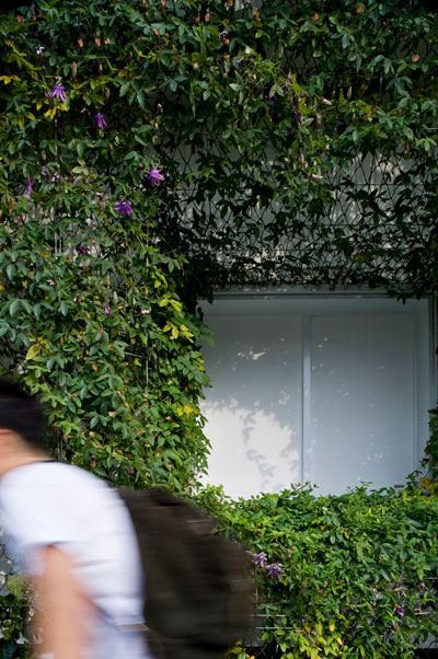 case-real: minorityrev