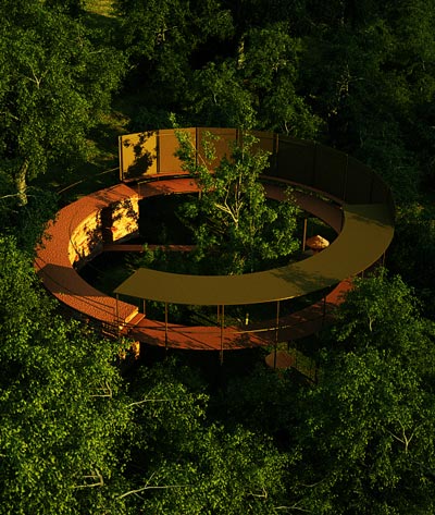 suriya umpansiriratana: monk cell project