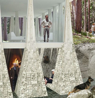 visiondivision: nature's choice